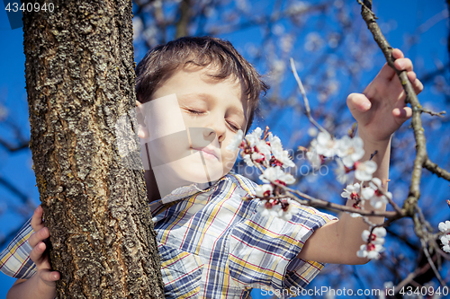 Image of One little boy sitting on a blossom tree.