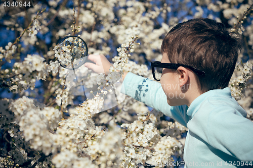 Image of Happy little boy exploring nature with magnifying glass at the d