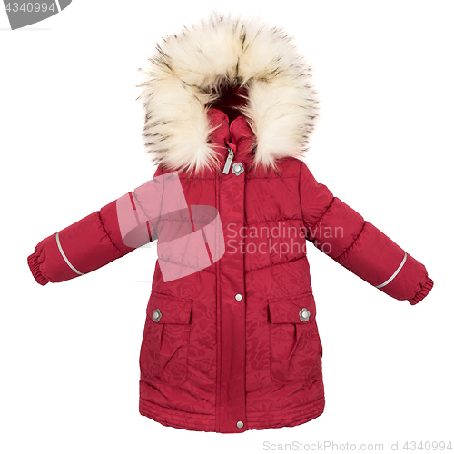 Image of Women winter jacket