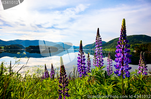 Image of Beautiful Nature Norway.