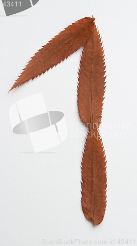 Image of 1 one number: alphabet and numbers with autumn brown red dry leaf on white background