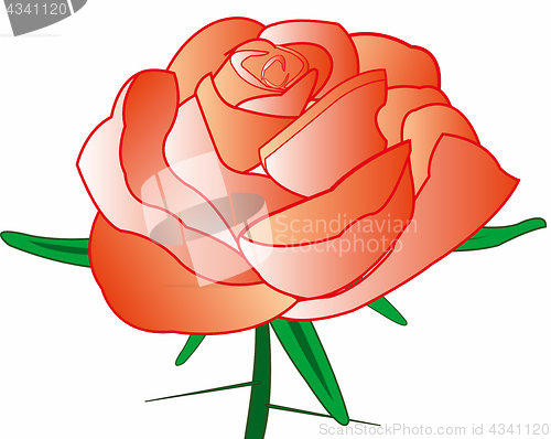 Image of Rose with thorn
