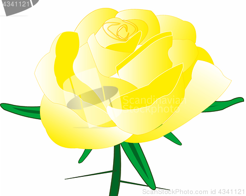 Image of Rose yellow with thorn