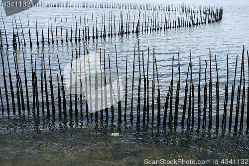 Image of Bamboo wall in the sea