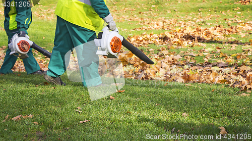 Image of Workers cleaning fallen autumn leaves with a leaf blower 