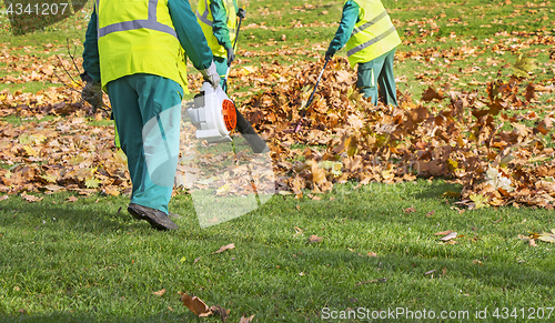 Image of Workers cleaning fallen autumn leaves with a leaf blower 