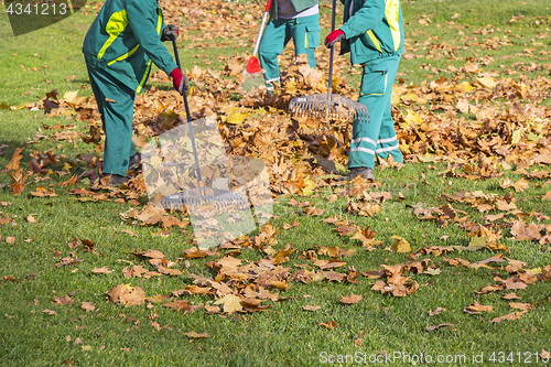 Image of Workers cleaning fallen autumn leaves