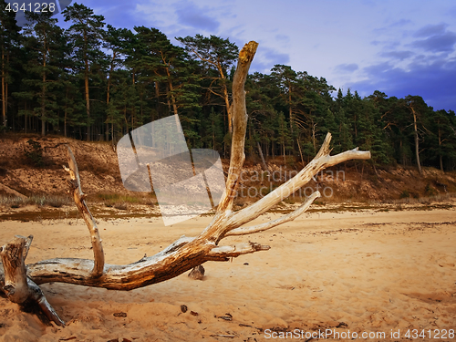 Image of evening on the beach 