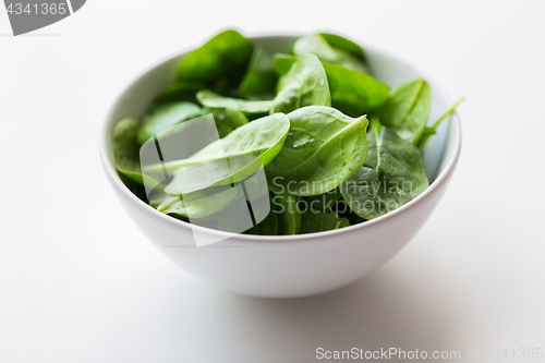 Image of close up of spinach leaves in white bowl