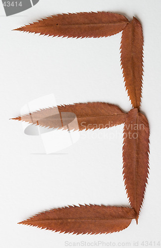 Image of 3 three one number: alphabet and numbers with autumn brown red dry leaf on white background