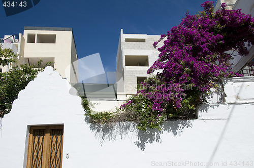 Image of typical residential architecture malta