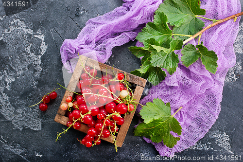 Image of red currant