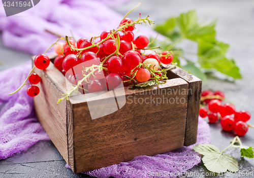 Image of red currant