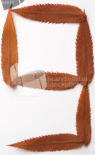 Image of 6 9 six or nine number: alphabet and numbers with autumn brown red dry leaf on white background