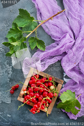 Image of red currant