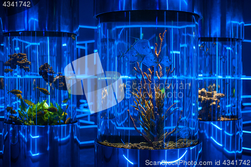 Image of oceanarium interior photo