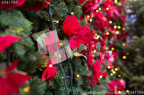 Image of close up of christmas tree with floral decorations