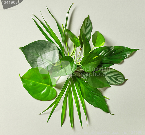 Image of bouquet of tropical leaves