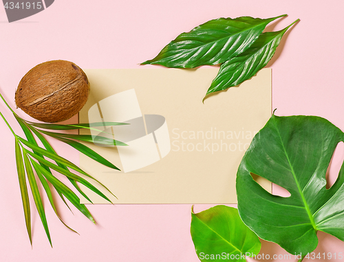 Image of tropical leaves and coconut 