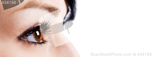 Image of Businesswoman eyes