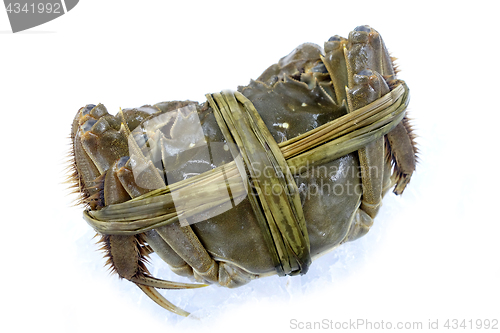 Image of Raw shanghai hairy crab