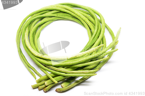 Image of Bunch of fresh long bean