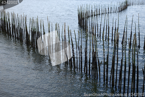 Image of Bamboo wall in the sea