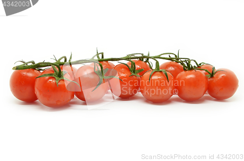 Image of Red cherry tomato