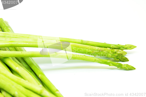 Image of Bundle of green asparagus shoots