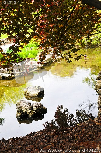 Image of Pond in zen garden