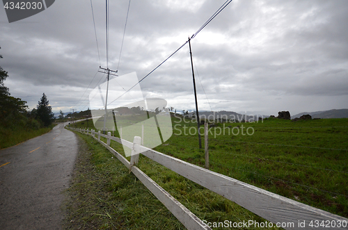 Image of Cattle Farm in Kundasang Sabah