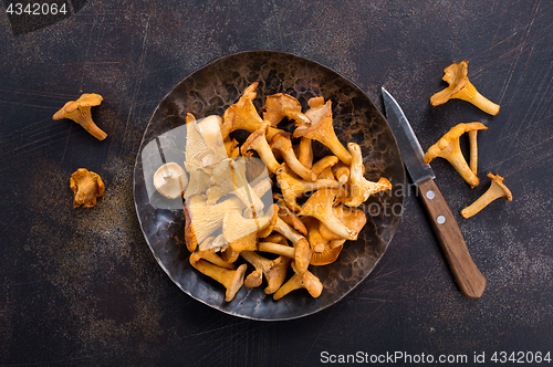 Image of raw mushroom