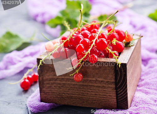 Image of red currant