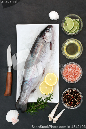 Image of Rainbow Trout on Crushed Ice