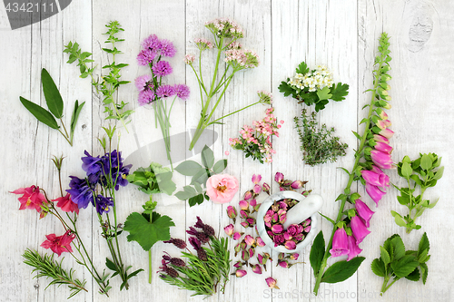 Image of Herb and Flower Medicinal Selection