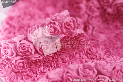 Image of Pink rose background