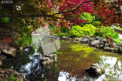 Image of Pond in zen garden