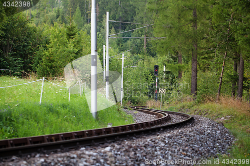 Image of Scenic railway between the trees