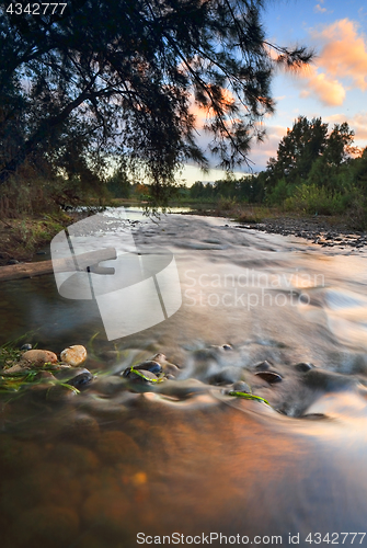 Image of Nepean River Yarramundi