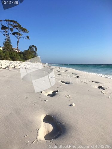 Image of Footprints in wet sand on beach