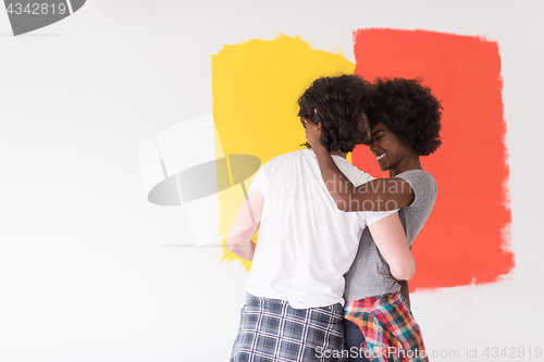 Image of multiethnic couple painting interior wall