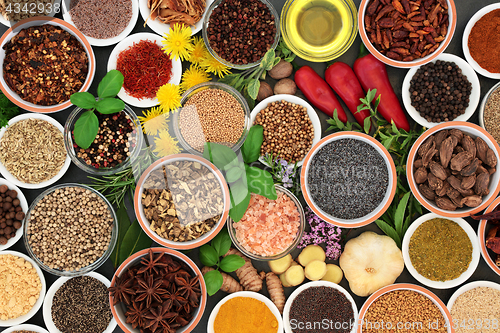 Image of Fresh and Dried Herbs and Spices