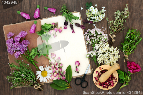 Image of Herbal Medicine Preparation