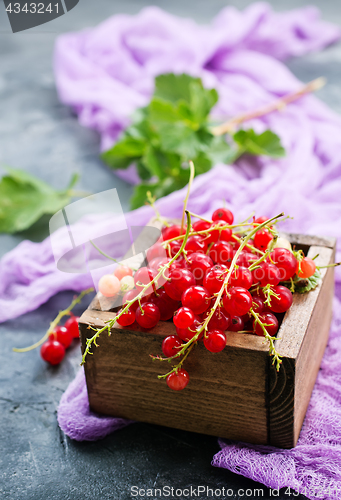 Image of red currant