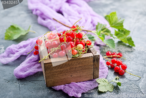 Image of red currant