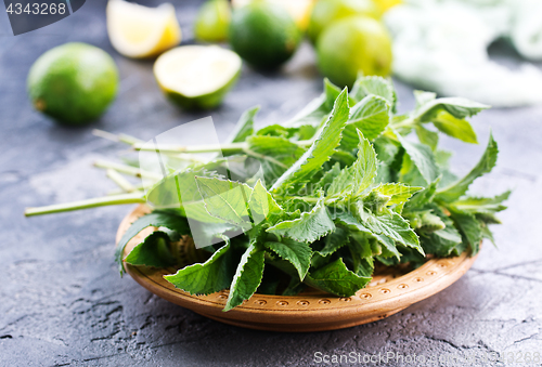 Image of ingredients for mojito