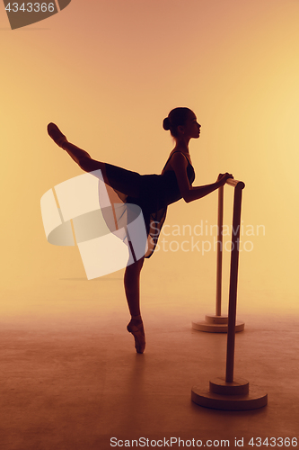 Image of The young ballerina stretching on the bar