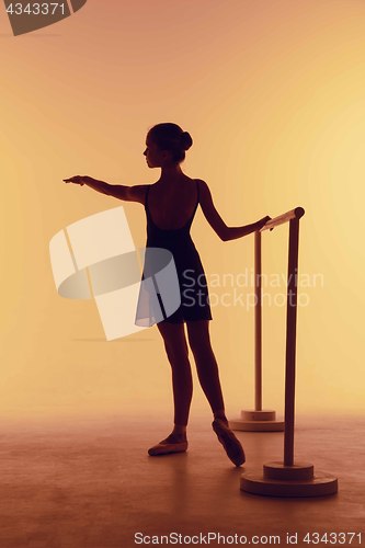 Image of The young ballerina stretching on the bar