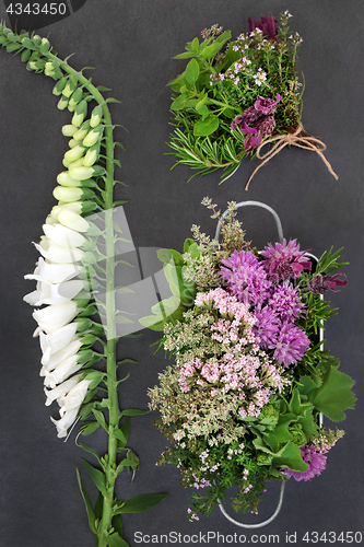 Image of Medicinal Herbs and Flowers