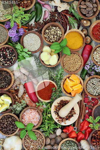 Image of Fresh and Dried Herbs and Spices